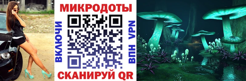 хочу наркоту  Аксай  Галлюциногенные грибы Psilocybine cubensis 