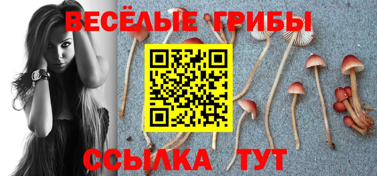 Аксай  Галлюциногенные грибы мухоморы  Галлюциногенные грибы Cubensis  Вход с VPN 